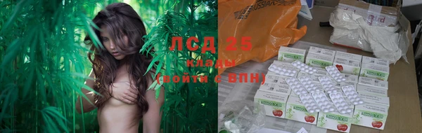 экстази Арсеньев