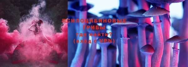 винт Армянск