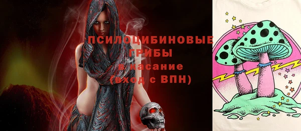 винт Армянск