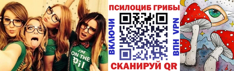 купить наркоту гидра онион Псилоцибиновые грибы мухоморы Порхов